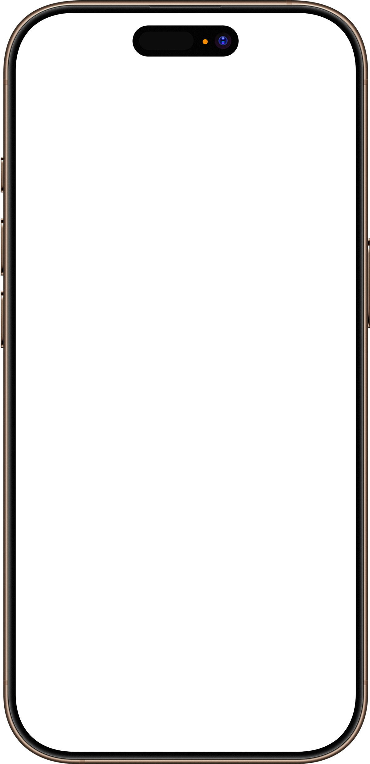 iPhone frame